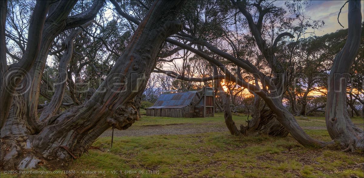 Peter Bellingham Photography Wallace Hut - VIC T (PBH4 00 13102)